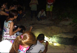 黒島研究所 活動紹介