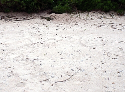 P5250035.JPG