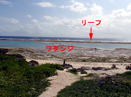 P5030182.JPG