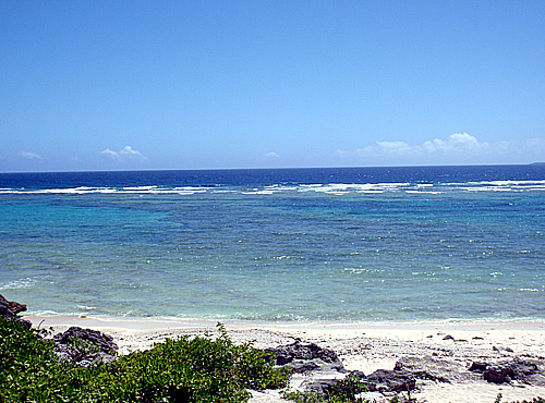 P6090003.JPG