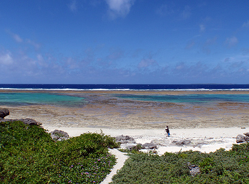 P6120001.JPG