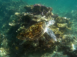 GEDC0101.JPG