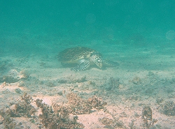 GEDC0081.JPG