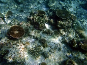 PA250065.JPG